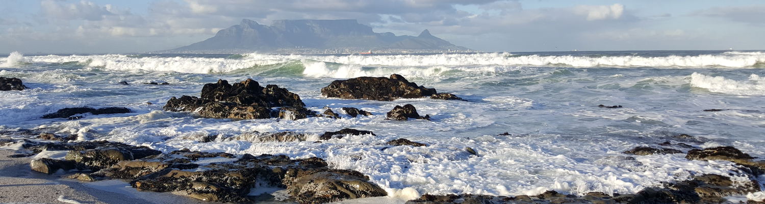 Cape Town safaris