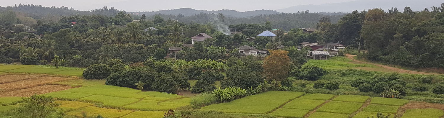 Thailand countryside birding trips