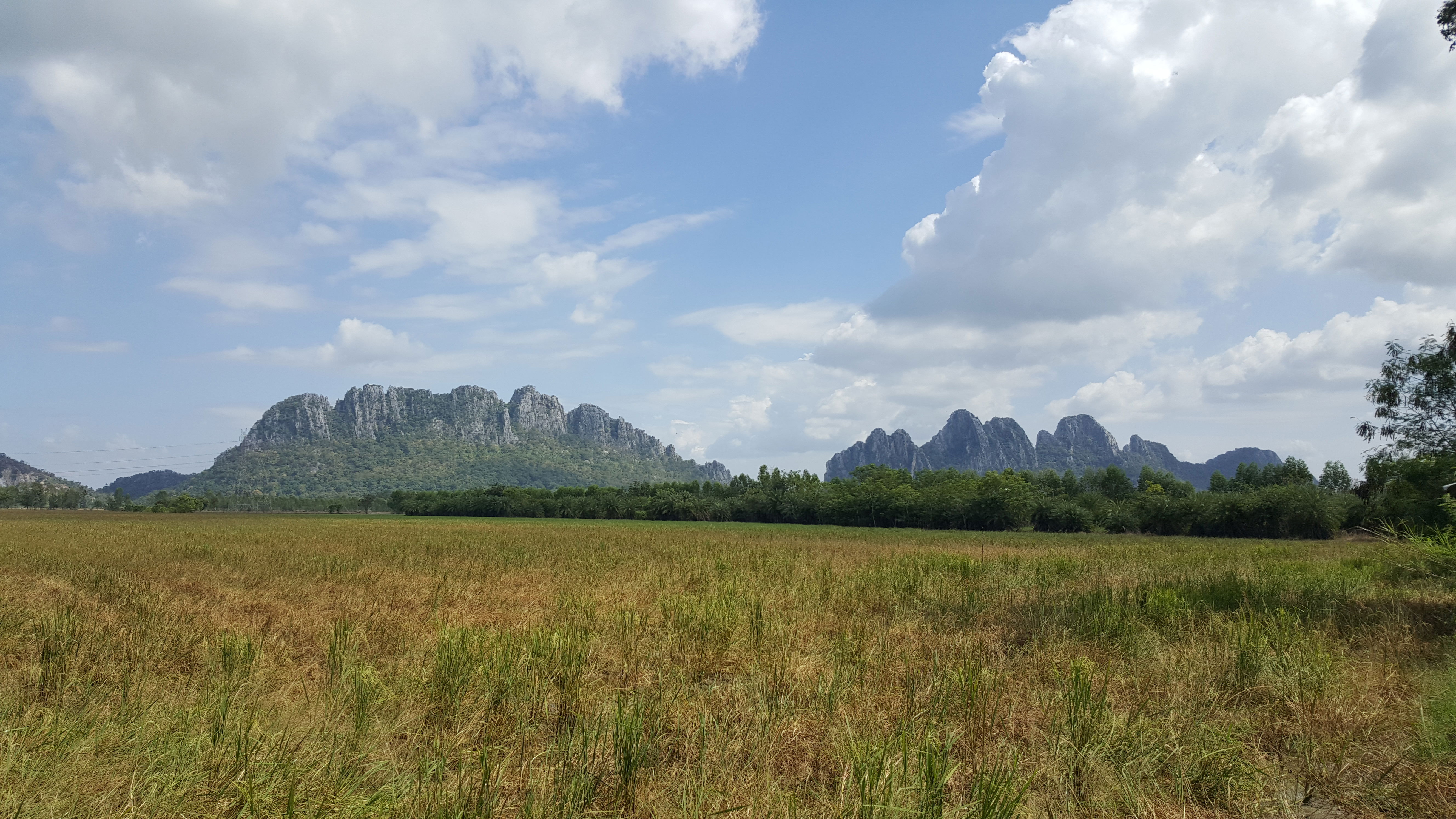 Thailand countryside