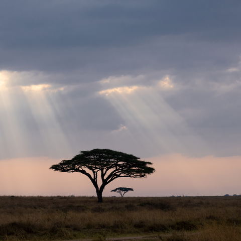 Tanzania Photography trip