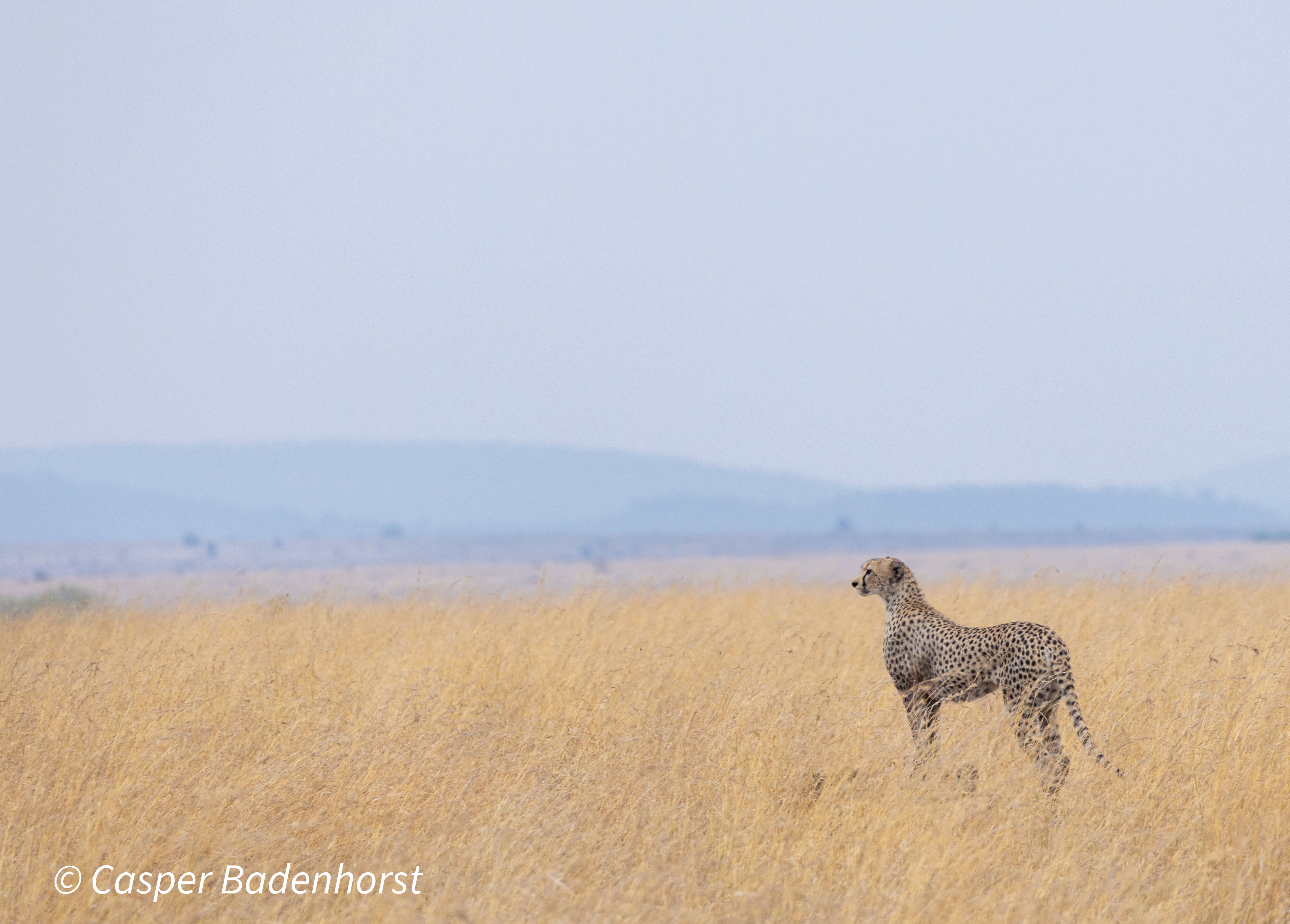 Tanzania photography trip