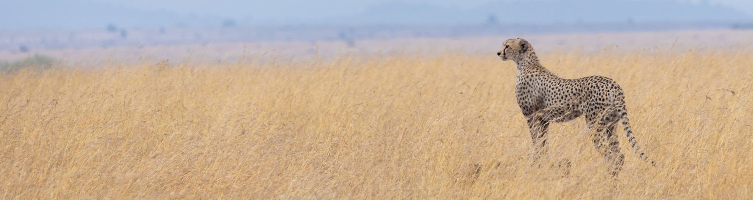 Tanzania photography trip