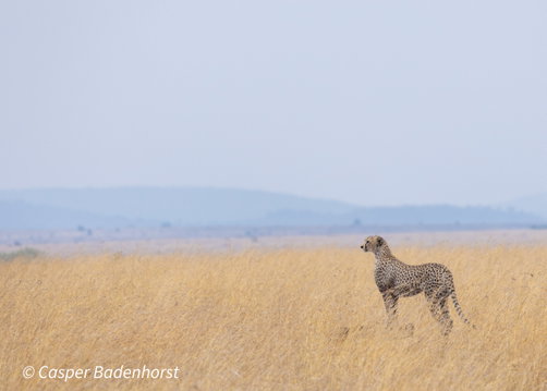 Tanzania photography trip