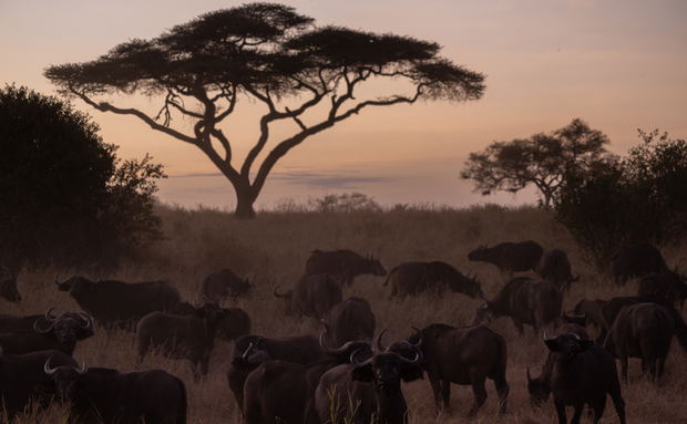 Tanzania Photography Trips