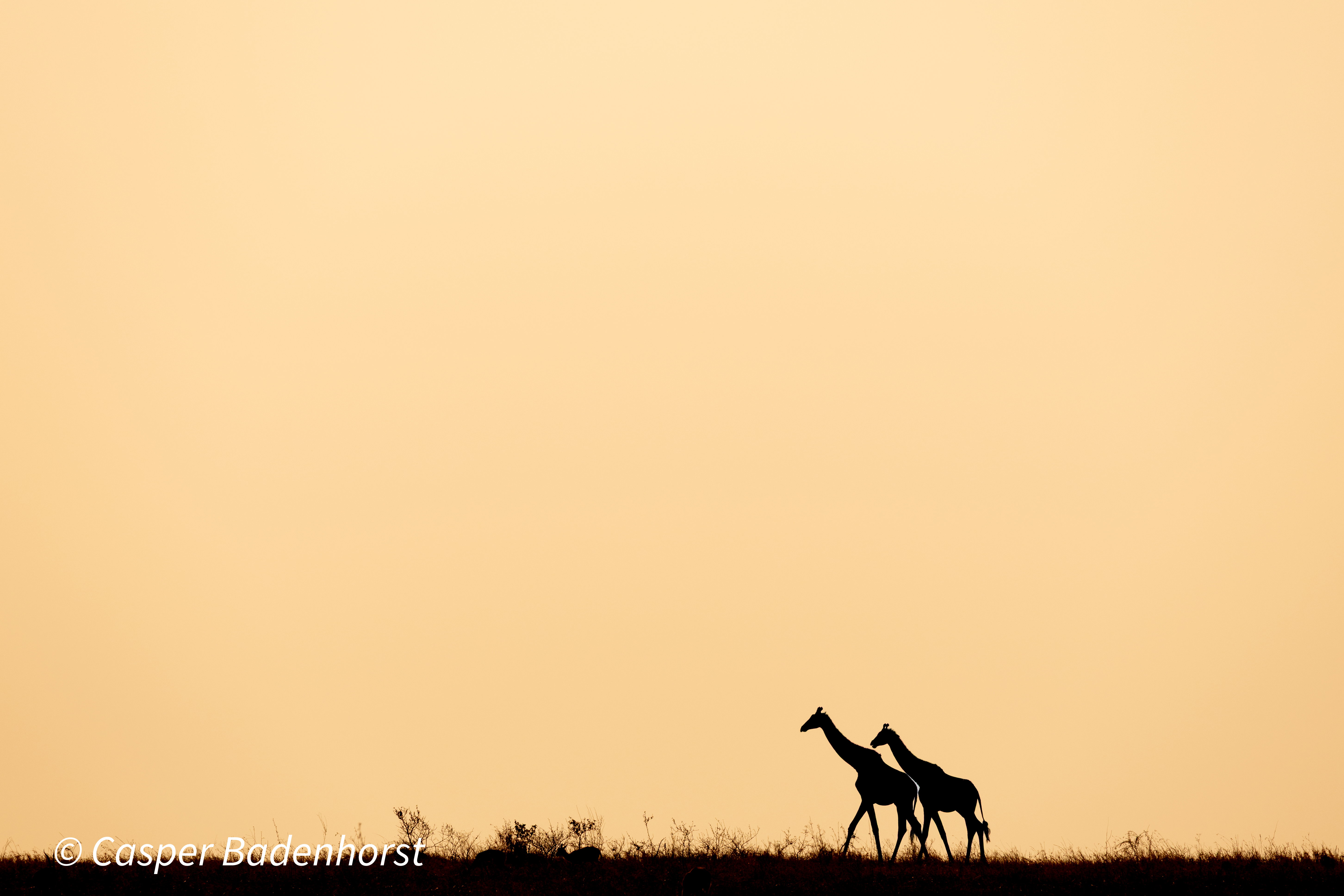 Tanzania Photography Trip