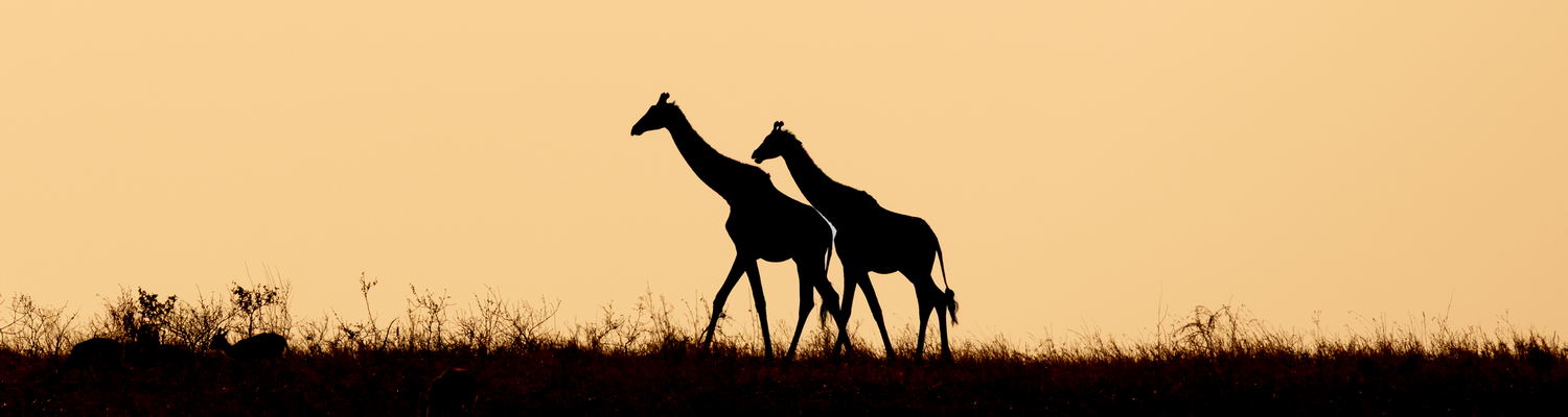 Tanzania Photography Trip
