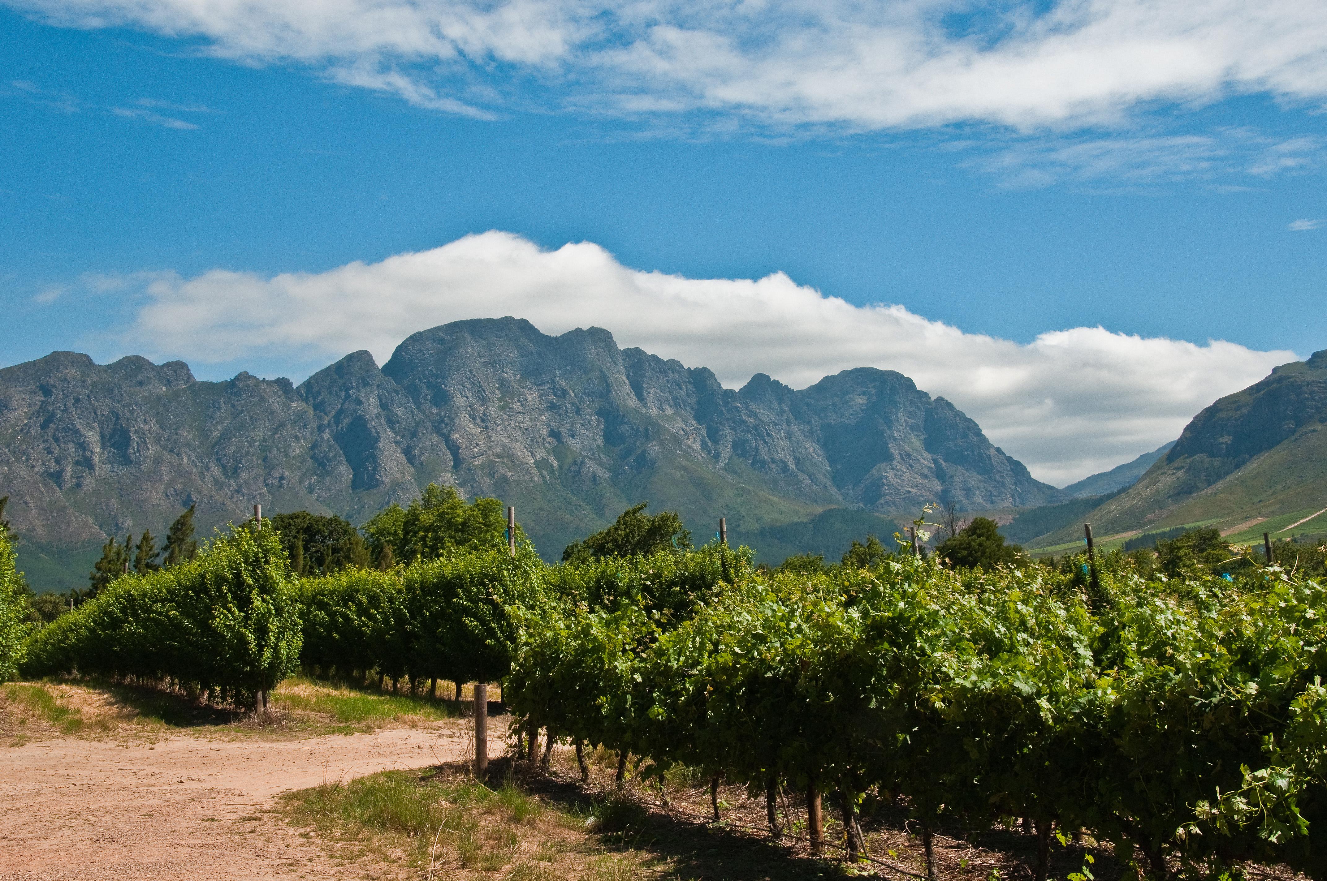 Explore Franschhoek