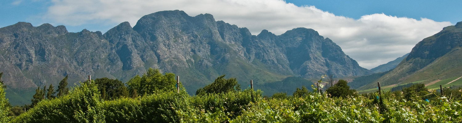 Explore Franschhoek