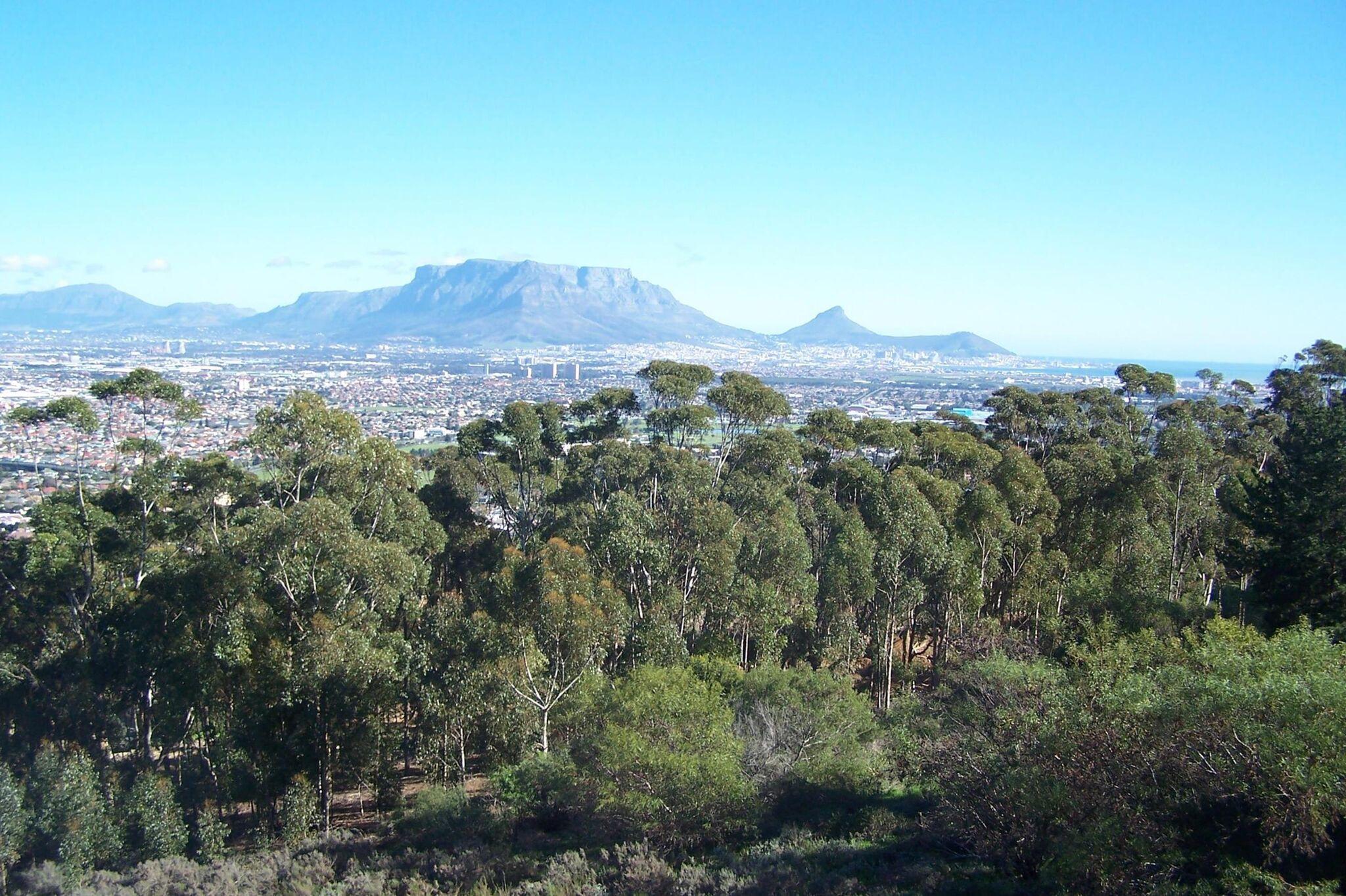 Explore Cape Town
