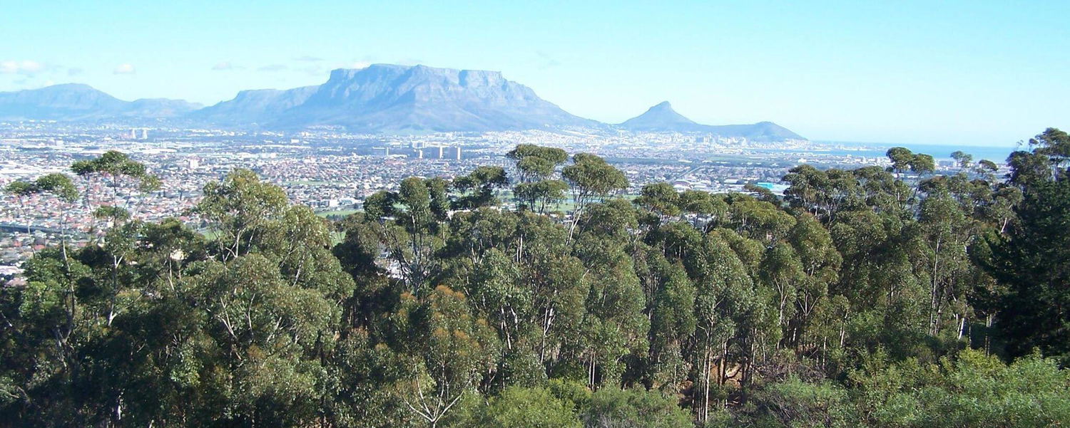 Explore Cape Town