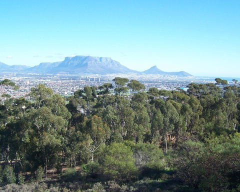 Explore Cape Town