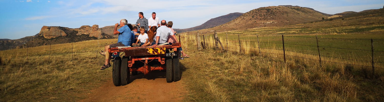 Guests enjoy a sundowner trip up the mountain on a tractor and trailor 