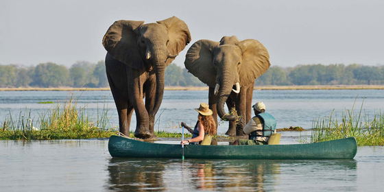 Canoeing 