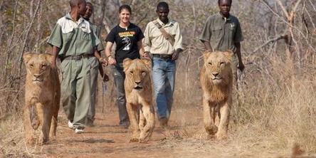Mukuni Big 5