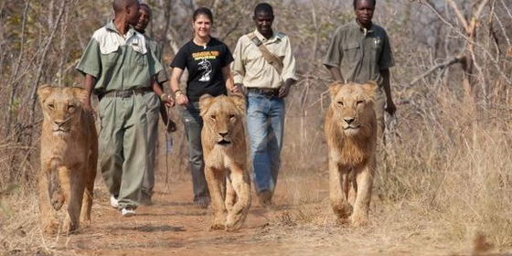 Mukuni Big 5
