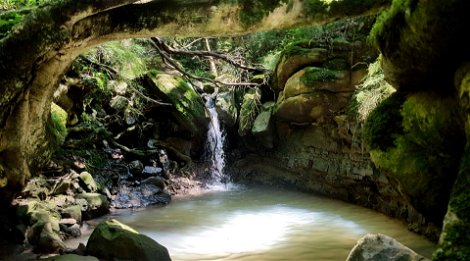 Indigenous Forest, Waterfall, Natural Beauty, Drakensberg Hiking