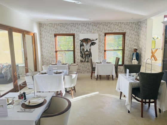 Accommodation, Travel, Franschhoek, Holiday, Vacation