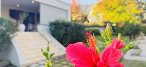 Special Offers at Residence Vive La Vie