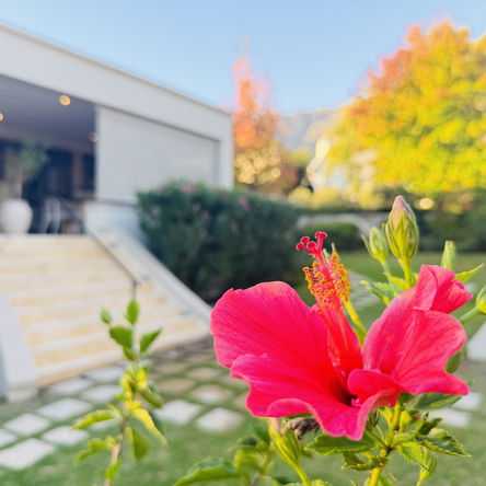 Summer Offers at Residence Vive La Vie