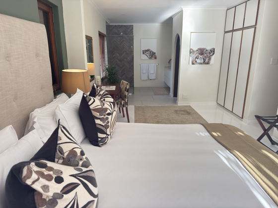 Superior King Suite 2