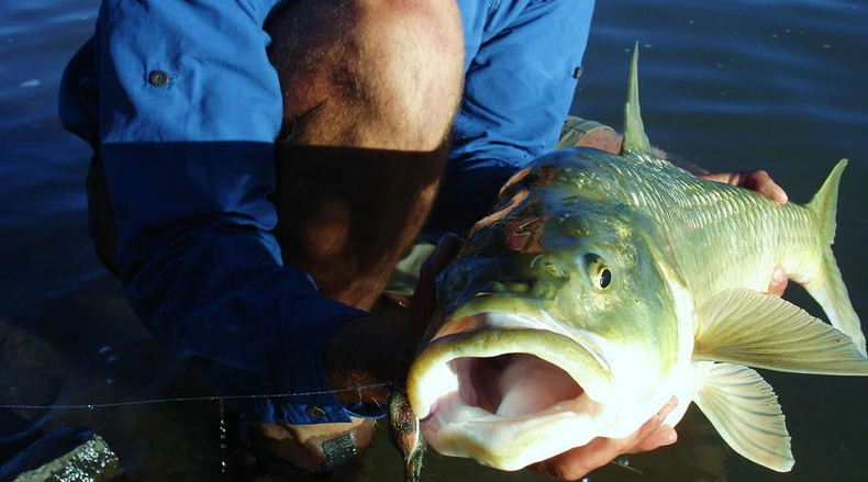 largemouth yellowfish fly fishing clinic largemouth yellowfish fly fishing clinic