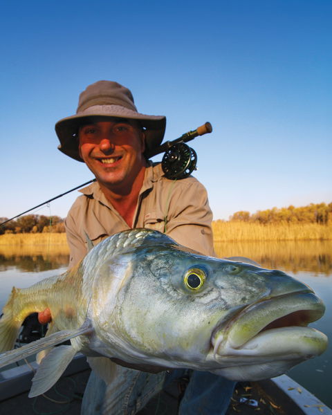 largemouth yellowfish