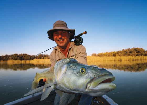 largemouth yellowfish largemouth yellowfish