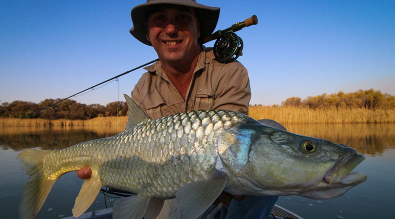 largemouth yellowfish