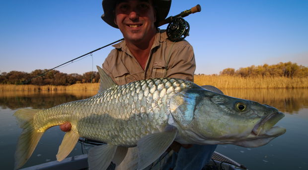 largemouth yellowfish