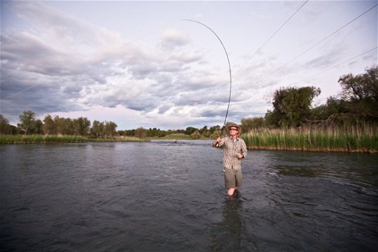 dry fly fly-fishing on the Orange River