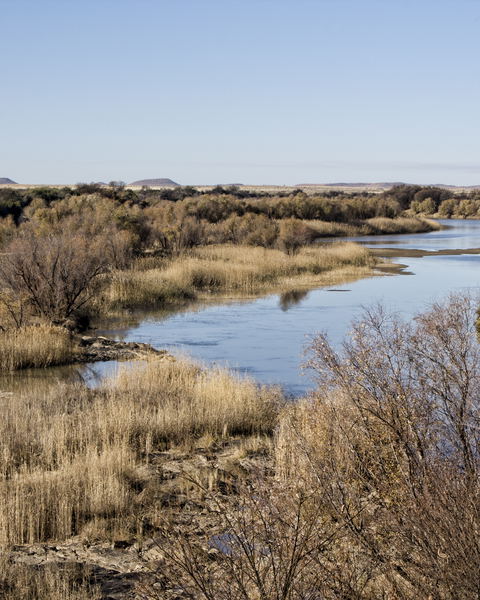 orange river wing shooting south africa