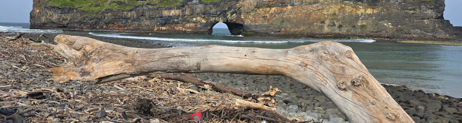 WILD COAST HOLE IN THE WALL