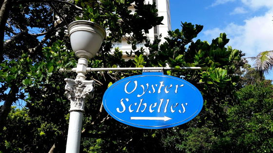 Oysters gardens