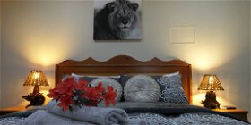 Lion Room