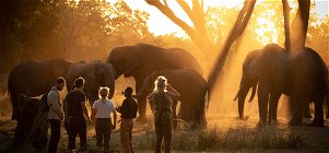 Stay 4 Nights | Adventure Package