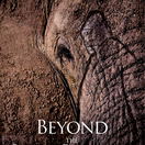 Gareth Patterson, Beyond the Secret Elephants, Knysna Elephants, Knysna Forest, Otang