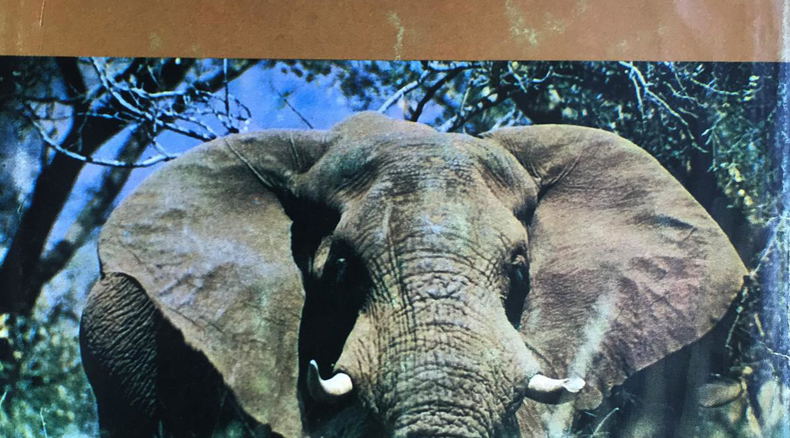 Nick Carter book - The Elephants of Knysna Nick Carter book - The Elephants of Knysna