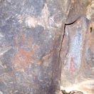 Bushmen paintings, Bergplaas rock shelter, courtesy Garden Route National Park, SANParks Bushmen paintings, Bergplaas rock shelter, courtesy Garden Route National Park, SANParks