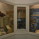 Coelacanth display in the Old Gaol at the Knysna Museum