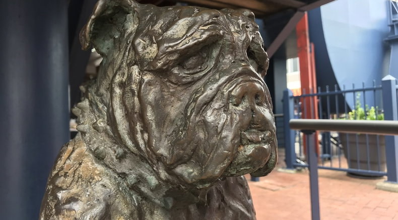 Bondi of HMS Verbena, dog statue, Knysna, Knysna Animal Welfare, sculptor Karel du Toit