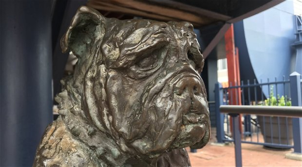 Bondi of HMS Verbena, dog statue, Knysna, Knysna Animal Welfare, sculptor Karel du Toit Bondi of HMS Verbena, dog statue, Knysna, Knysna Animal Welfare, sculptor Karel du Toit