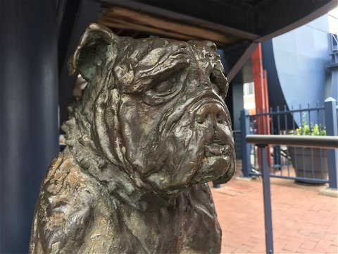 Bondi of HMS Verbena, dog statue, Knysna, Knysna Animal Welfare, sculptor Karel du Toit