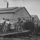 Government railway sleeper factory in Knysna. Possibly late 19th Century Government railway sleeper factory in Knysna. Possibly late 19th Century