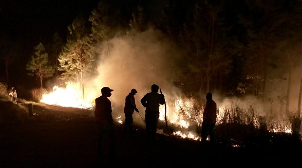 Knysna fires of 2017. Image: Berend Maarsingh