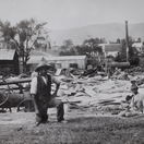 Labour in the Knysna Forests in the 19th Century Labour in the Knysna Forests in the 19th Century