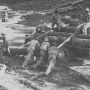 Labour, Knysna forests, 20th Century Labour, Knysna forests, 20th Century