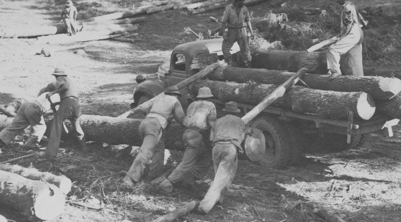 Labour, Knysna forests, 20th Century