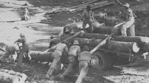 Labour, Knysna forests, 20th Century