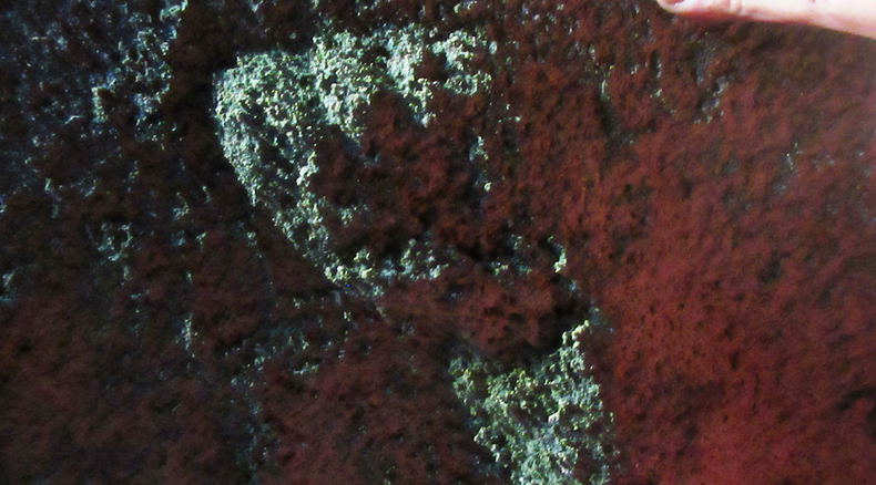 Fossil hominin track, Knysna. Image CW Helm
