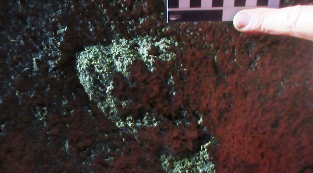 Fossil hominin track, Knysna. Image CW Helm Fossil hominin track, Knysna. Image CW Helm
